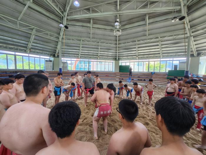 ‘스포츠스타와 특별한 만남, 씨름 멘토링 프로그램 성공적 개최’ 기사 이미지